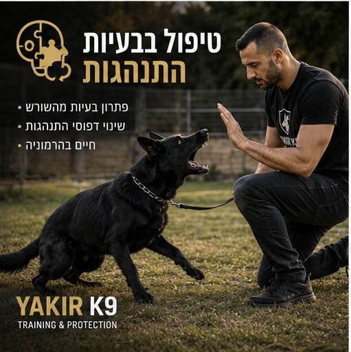 טיפול מקצועי בבעיות התנהגות אצל כלבים