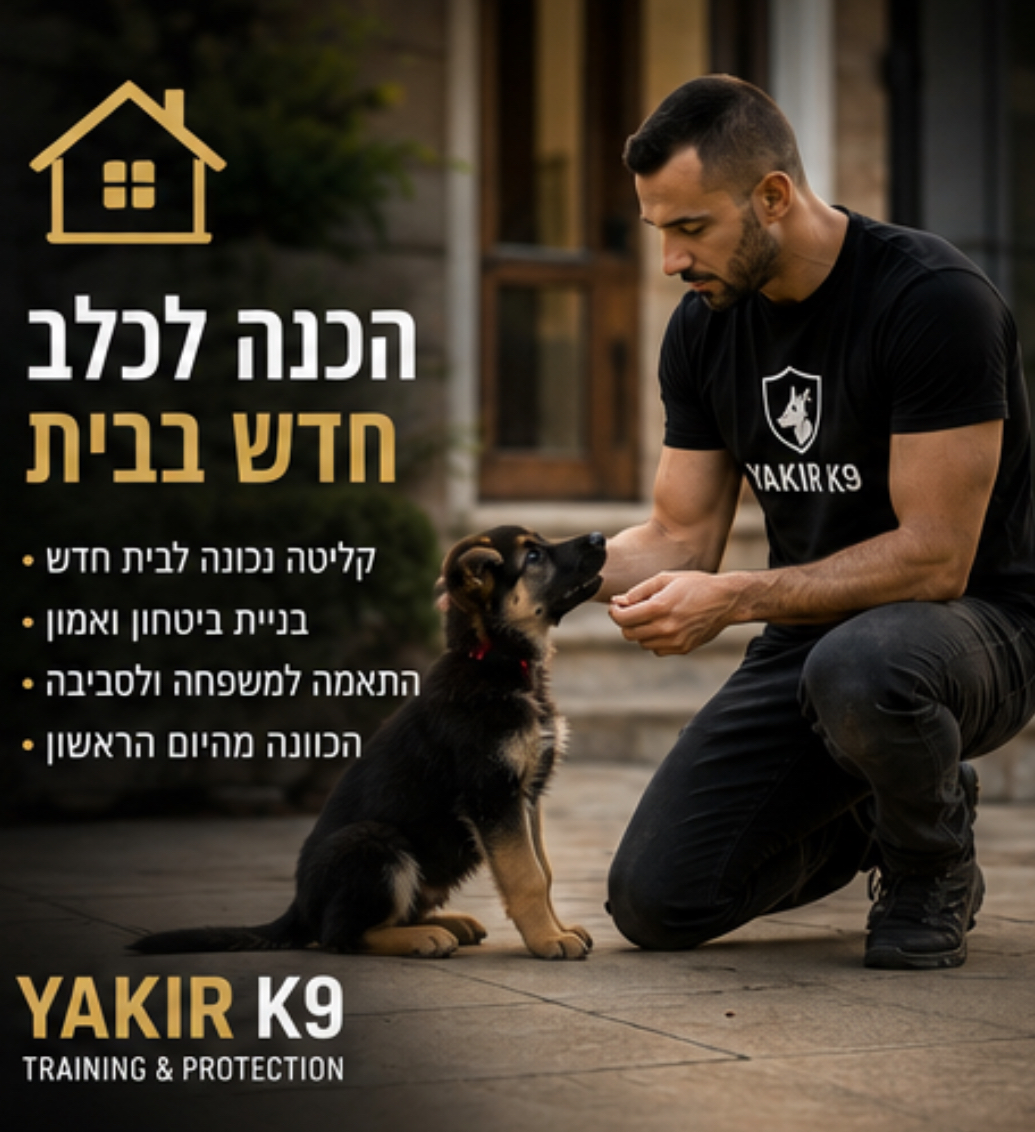 הכנת הבית ויצירת שגרה לכלב חדש