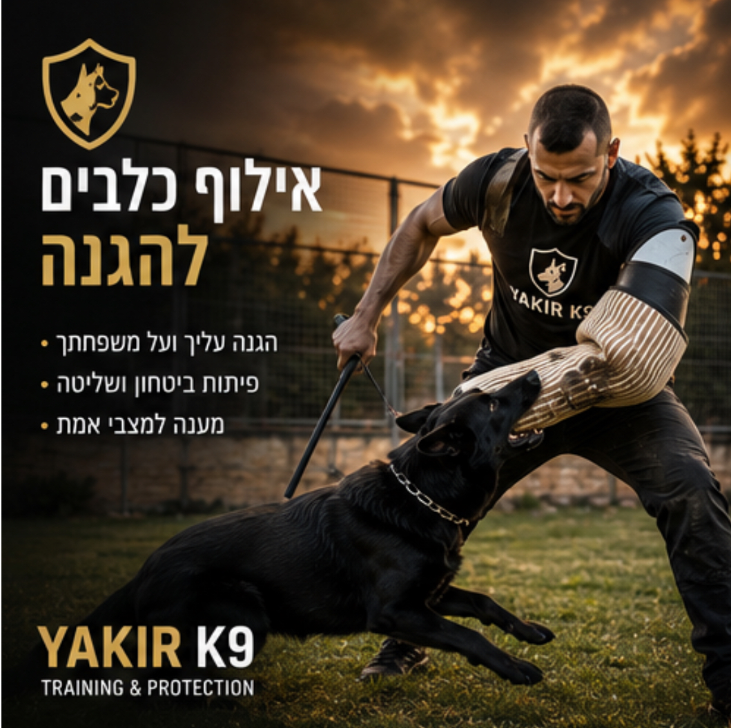 אילוף כלבים להגנה במסגרת מקצועית ומבוקרת